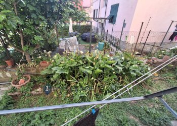 Foto 33 - Quadrilocale via reboa
 
16, Portovenere - foto 33