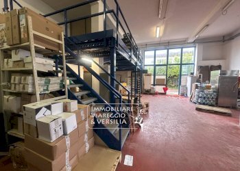 Foto 5 - Warehouse via dei Calzolai
 
100, Camaiore - photo 5