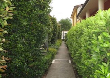 Cortile interno - Two-room apartment via Monte Grappa, Brescia - photo 39
