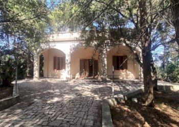 Giardino - Villa SP223, Matino - photo 1