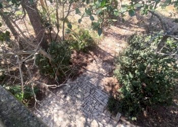 Terreno - Villa SP223, Matino - photo 11
