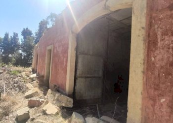 Terreno - Villa SP223, Matino - photo 12