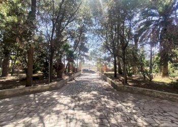 Zona - Villa SP223, Matino - photo 13