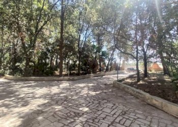 Giardino - Villa SP223, Matino - photo 14