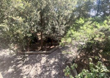 Terreno - Villa SP223, Matino - photo 23