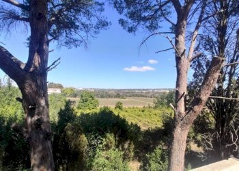 Vista - Villa SP223, Matino - photo 24