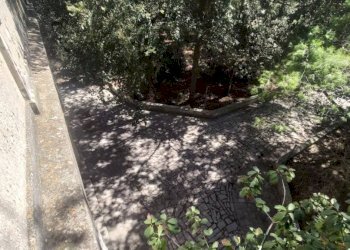 Giardino - Villa SP223, Matino - photo 25