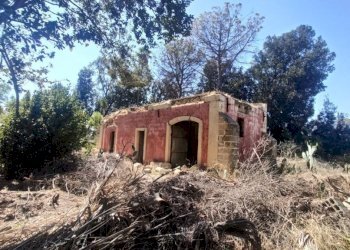 Terreno - Villa SP223, Matino - photo 26
