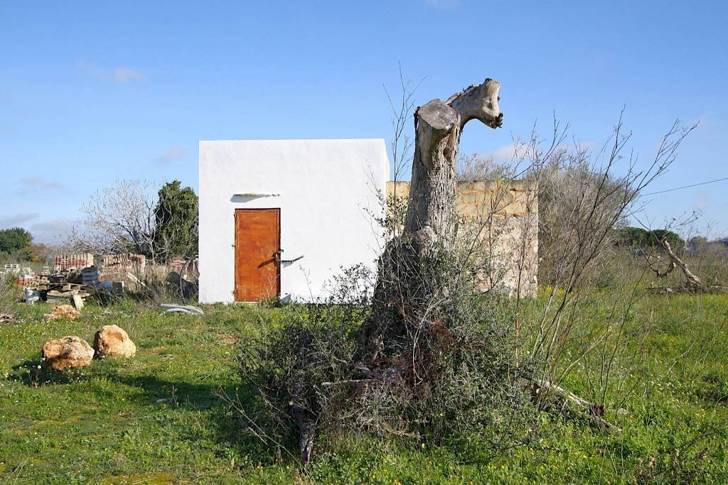Terreno - Building land strada Vicinale Rao Castellana Trappeto Rossi, Alezio - photo 2