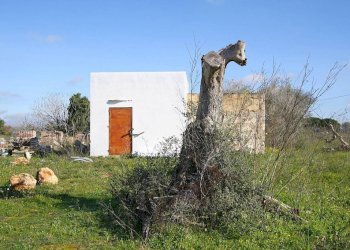 Terreno - Building land strada Vicinale Rao Castellana Trappeto Rossi, Alezio - photo 2