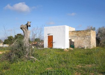 Terreno - Building land strada Vicinale Rao Castellana Trappeto Rossi, Alezio - photo 3