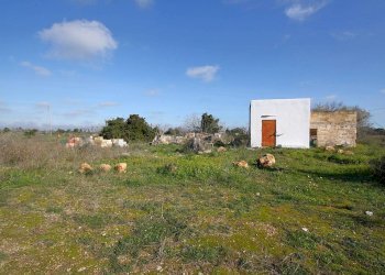 Terreno - Building land strada Vicinale Rao Castellana Trappeto Rossi, Alezio - photo 5