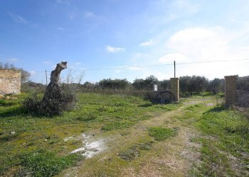 Terreno - Building land strada Vicinale Rao Castellana Trappeto Rossi, Alezio - photo 6