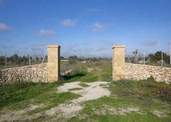 Terreno - Building land strada Vicinale Rao Castellana Trappeto Rossi, Alezio - photo 7