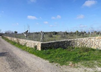 Terreno - Building land strada Vicinale Rao Castellana Trappeto Rossi, Alezio - photo 13