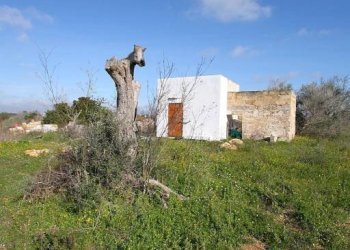 Terreno - Building land strada Vicinale Rao Castellana Trappeto Rossi, Alezio - photo 25