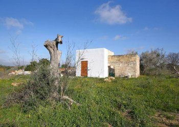Terreno - Building land strada Vicinale Rao Castellana Trappeto Rossi, Alezio - photo 26