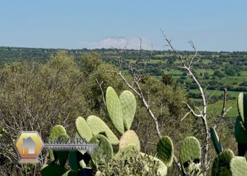 Foto 4 - Villa Contrada bosco di Sopra
 
snc, Canicattini Bagni - foto 4