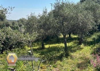 Foto 42 - Villa Contrada bosco di Sopra
 
snc, Canicattini Bagni - foto 42