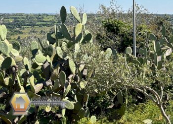 Foto 49 - Villa Contrada bosco di Sopra
 
snc, Canicattini Bagni - foto 49
