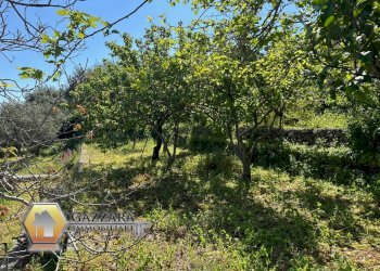 Foto 52 - Villa Contrada bosco di Sopra
 
snc, Canicattini Bagni - foto 52