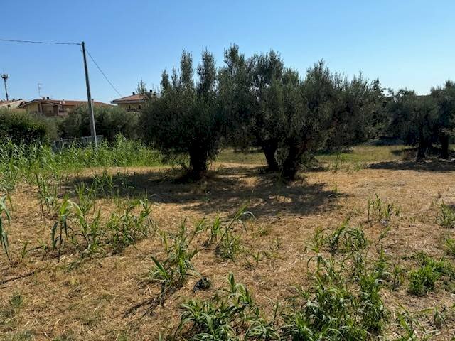 Foto 1 - Terreno agricolo contrada muracche, Tortoreto - foto 1