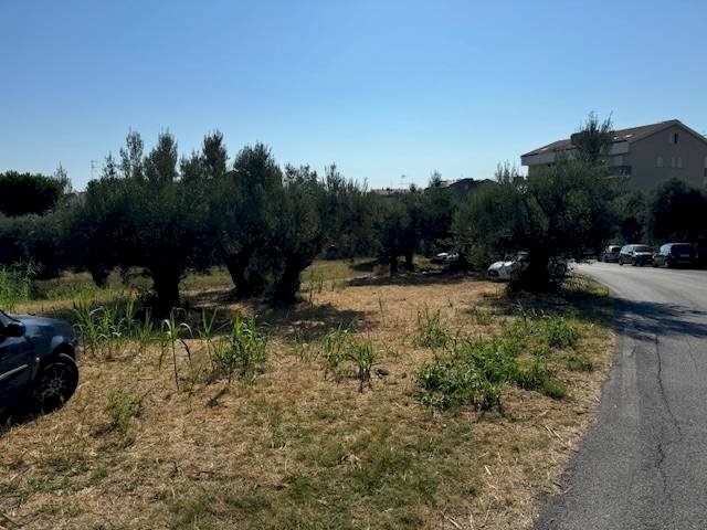 Foto 2 - Terreno agricolo contrada muracche, Tortoreto - foto 2