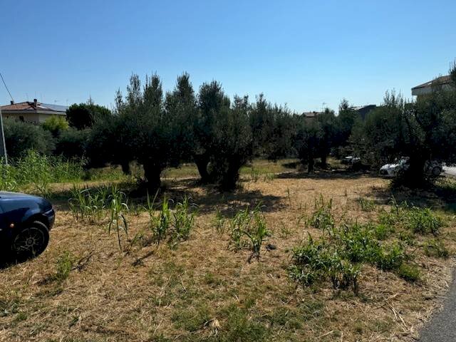 Foto 3 - Terreno agricolo contrada muracche, Tortoreto - foto 3