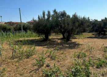 Foto 1 - Terreno agricolo contrada muracche, Tortoreto - foto 1