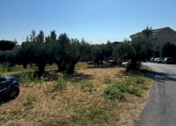 Foto 2 - Terreno agricolo contrada muracche, Tortoreto - foto 2