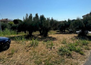 Foto 3 - Terreno agricolo contrada muracche, Tortoreto - foto 3