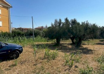 Foto 4 - Terreno agricolo contrada muracche, Tortoreto - foto 4