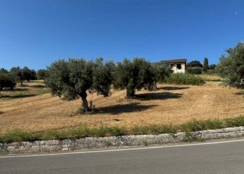 Foto 7 - Terreno agricolo contrada muracche, Tortoreto - foto 7