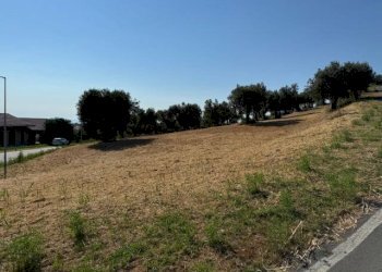 Foto 10 - Terreno agricolo contrada muracche, Tortoreto - foto 10