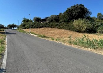 Foto 11 - Terreno agricolo contrada muracche, Tortoreto - foto 11