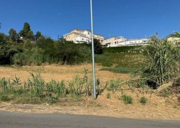 Foto 12 - Terreno agricolo contrada muracche, Tortoreto - foto 12