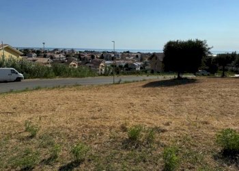 Foto 13 - Terreno agricolo contrada muracche, Tortoreto - foto 13
