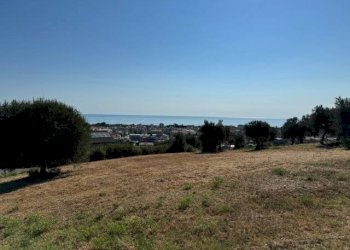 Foto 17 - Terreno agricolo contrada muracche, Tortoreto - foto 17