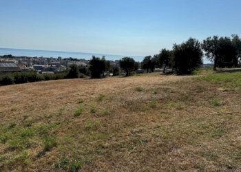 Foto 19 - Terreno agricolo contrada muracche, Tortoreto - foto 19