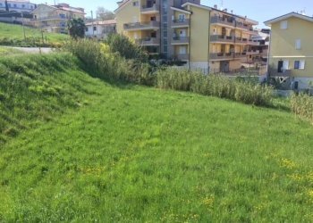 Foto 20 - Terreno agricolo contrada muracche, Tortoreto - foto 20