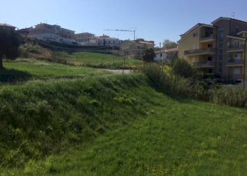 Foto 22 - Terreno agricolo contrada muracche, Tortoreto - foto 22