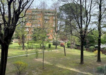 Terreno - Three-room apartment via Bonavia, 6, San Lazzaro di Savena - photo 3