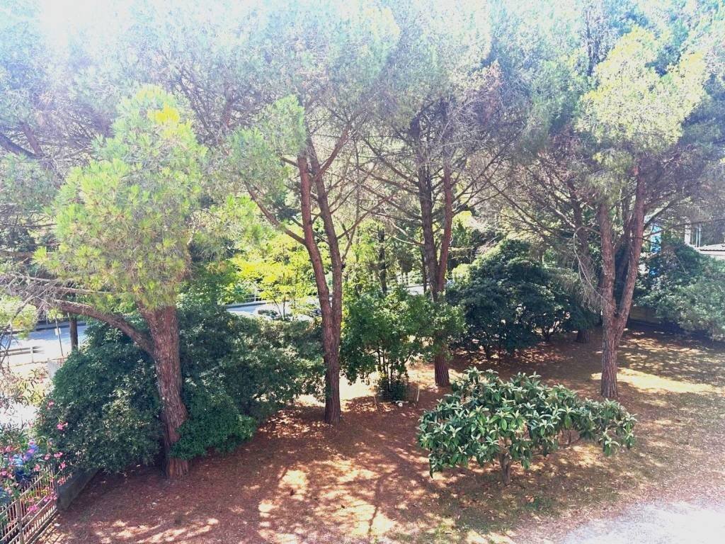Giardino - Appartamento via Generale Fontana, 2, Deiva Marina - foto 1