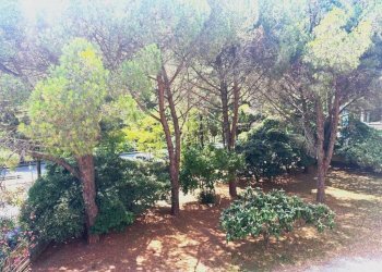 Giardino - Appartamento via Generale Fontana, 2, Deiva Marina - foto 1