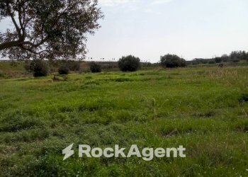 Terreno - Building land via Grotteria Mare, Siderno - photo 4