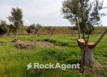 Terreno - Building land via Grotteria Mare, Siderno - photo 6