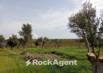 Terreno - Building land via Grotteria Mare, Siderno - photo 7