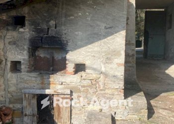 Cantina - Rustic strada Cattabiano, Langhirano - photo 14