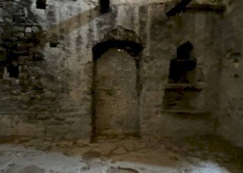 Cantina - Rustic strada Cattabiano, Langhirano - photo 16