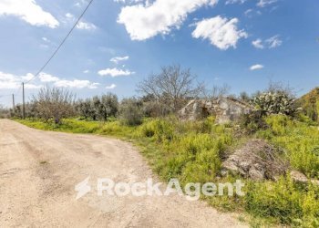 Terreno - Villa contrada Sant' Anna, Casarano - photo 17